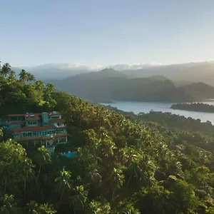 The Albatross, Kandy Digana